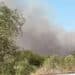 Attacco al turismo, grosso incendio minaccia Orosei: evacuato un residence