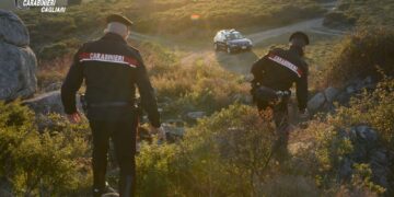 Abusivi della caccia uccidono un daino e un cinghiale ad Arbus: denunciati