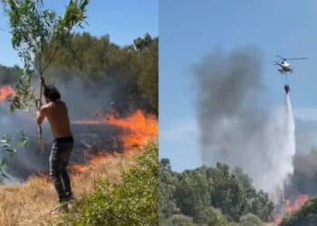Uta, grosso incendio mette a rischio le arnie: l’intervento coraggioso di un apicoltore