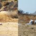 Dopo il rogo spuntano i rifiuti abbandonati dagli incivili: nuovo sfregio contro la natura a Punta Molentis