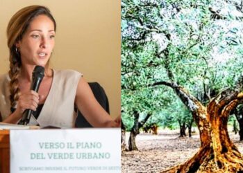 Sestu, sospeso il cantiere del parco Quartiere Ateneo