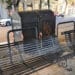Cagliari, “ti vuoi riposare seduto nelle panchine di Piazza Yenne? Hai il conforto del ” profumo ” naturale dei rifiuti dei ristoranti”