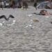 Cagliari, dopo il mare una distesa di rifiuti: cartacce e bottiglie sulla sabbia