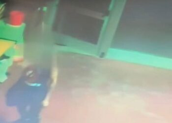 Selargius, le viene regalato del pane ma prima aveva rubato un trapano: “Quanto ci hai guadagnato con quello che hai preso?”