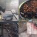 Selargius e Cagliari, rifugi per i gatti dati alle fiamme, la disperazione di una volontaria: “Era l’unico riparo che avevano”