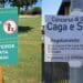 Cagliari, aree verdi vietate ai cani e strade disseminate di escrementi: è polemica