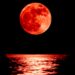 Sardegna, è la notte della “Luna di sangue”: l’eclissi totale sarà visibile dalle 19,30