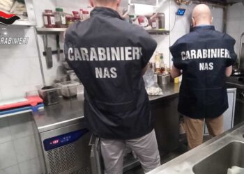 Sestu, blitz dei Nas alla festa di San Gemiliano: muffa, infestanti e frigoriferi inidonei in un chiosco-bar