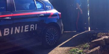 Villacidro, ritorna nel suo capanno dopo anni di assenza e trova una piantagione di marijuana