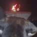 Sarroch, festa del patrono senza i fuochi d’artificio e i cittadini si dividono