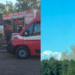 Arborea, incendio al maneggio: morti 6 cavalli e un puledrino