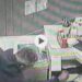 Il pizzaiolo Luciano Auriemma scopre il ladro nel locale e lo invita e rendere i soldi