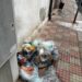Cagliari, topi e blatte fra l’immondizia abbandonata in via Col del Rosso: “Cibo avariato che fuoriesce sul marciapiede”