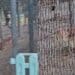 Fido sporca e i proprietari non ripuliscono: Cagliari come una maxi toilette per cani