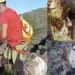 Gonnosfanadiga, si calano in un profondo dirupo per salvare una cagnolina