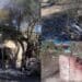 Serdiana, colonie feline prese di mira dai vandali: incendiati ripari e cucce