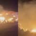 Sestu fienile in fiamme, la rabbia dei proprietari: “C’è chi non sopporta di vedere gli altri costruire qualcosa con le proprie mani”.