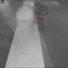 Pirri, ladro di fiori immortalato dal sistema di videosorveglianza: “Gesto da vigliacchi”