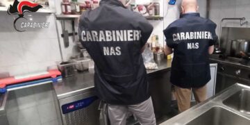 Cagliari, animali infestanti morti e frigoriferi in pessimo stato: i Nas chiudono un ristorante