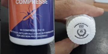 Collinas, il Comune consegnerà delle compresse per uccidere le larve di zanzara: “Prevenire è meglio che curare”