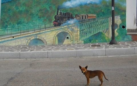 Il Trenino Verde deraglia lungo la tratta Bosa-Macomer: nessun ferito