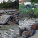Capoterra, cartoline dalla periferia tra discariche abusive di ogni genere di rifiuto