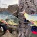 La passione per la pesca conquista tutti: ecco le prede di Nicola Fanelli a Carloforte