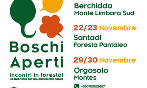 Santadi ti aspetta: un weekend tra foreste incantate e meraviglia pura