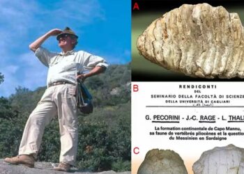 Il mondo della geologia sarda di nuovo in lutto: addio al professor Giuseppe Pecorini