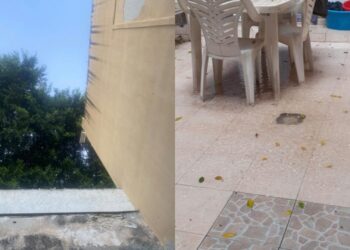 Cagliari, alberi a ridosso delle case senza potatura: “Cadono foglie e pezzi di tronchi in cortile, siamo stanchi di segnalare”
