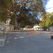 Cagliari, il grande ficus di piazza Matteotti rischia di crollare: area transennata, vietato passare