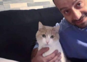 Igor Sollai incastrato dai punti esclamativi che Francesca non usava mai nelle chat: le dimissioni per incassare il Tfr della moglie