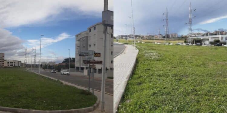 Selargius, a Is Corrias oltre cento alberi per combattere lo smog della statale 554