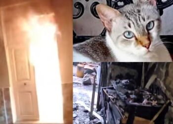 Monserrato, incendio doloso distrugge la casa dove vivevano una donna, il suo compagno e la sorella: appello per aiutarli