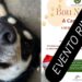 Capoterra, la pioggia ferma la sfilata dei cani: evento rinviato