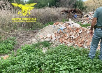 Cagliari, trovato il furbetto che abbandonava rifiuti nell’area protetta di Molentargius