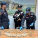 Olbia, sequestrati petardi artigianali illegali e altamente pericolosi