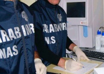 Doping nelle palestre, i Nas anche a Cagliari: perquisizioni in tutta Italia