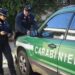 Cagliari, pappagalli in vendita tenuti in condizioni precarie: i carabinieri denunciano la titolare di un negozio