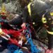 Masua, cane da caccia insegue un gregge di capre e resta bloccato: salvato dai vigili del fuoco