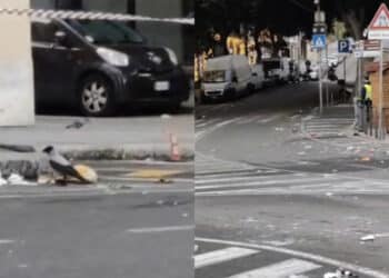 Cagliari, cornacchie e piccioni banchettano nel Largo Carlo Felice poco prima dell’inizio della maratona: “La città è in piena emergenza”(VIDEO)