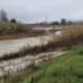 Maltempo in Emilia, Natale con allerta per rischio esondazione dei fiumi