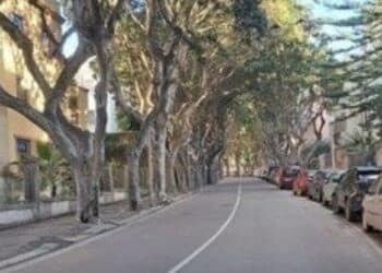 Rivoluzione in viale Merello a Cagliari, scatta la protesta: “Lasciate alberi, parcheggi e installate un autovelox”