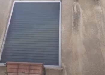 Cagliari: la padrona è morta, cagnolino vive da solo in un appartamento