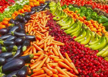 Corso di frutticoltura a Sarroch, “15.000 euro di spesa pubblica ma si chiede di comprarsi le forbici”