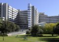 Da Cagliari agli Stati Uniti e ritorno: addio alle trasfusioni, rivoluzione per i talassemici in Sardegna