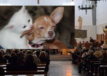 Monserrato, al Redentore tutti gli animali tra i banchi della chiesa per la benedizione