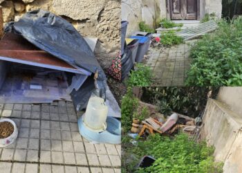 Cagliari, sabotata di nuovo la colonia felina: “Ci vorrebbero le telecamere”