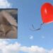 Bono in lutto, addio a Elena, 3 anni: un altro bimbo volato via troppo presto