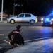 Gonnosfanadiga, scappa dopo aver rubato un’auto ma la fuga finisce con una carambola in centro città: fermata una 30enne